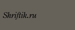 Century Oldstyle Italic BT 